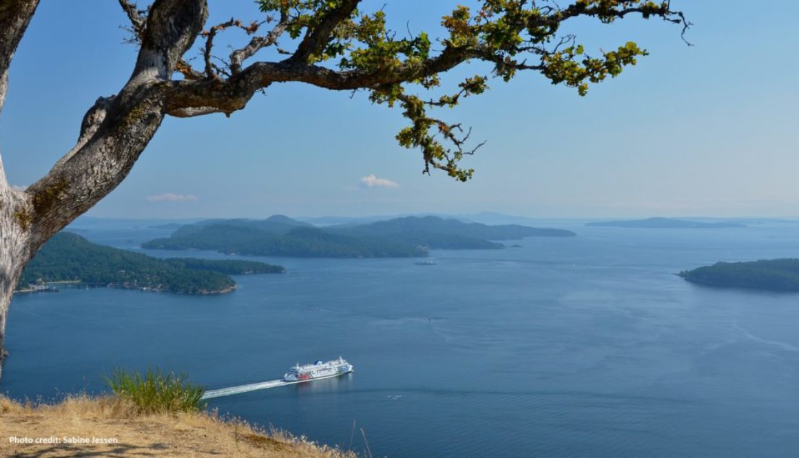 ID: Overlooking gulf islands from Galiano island.