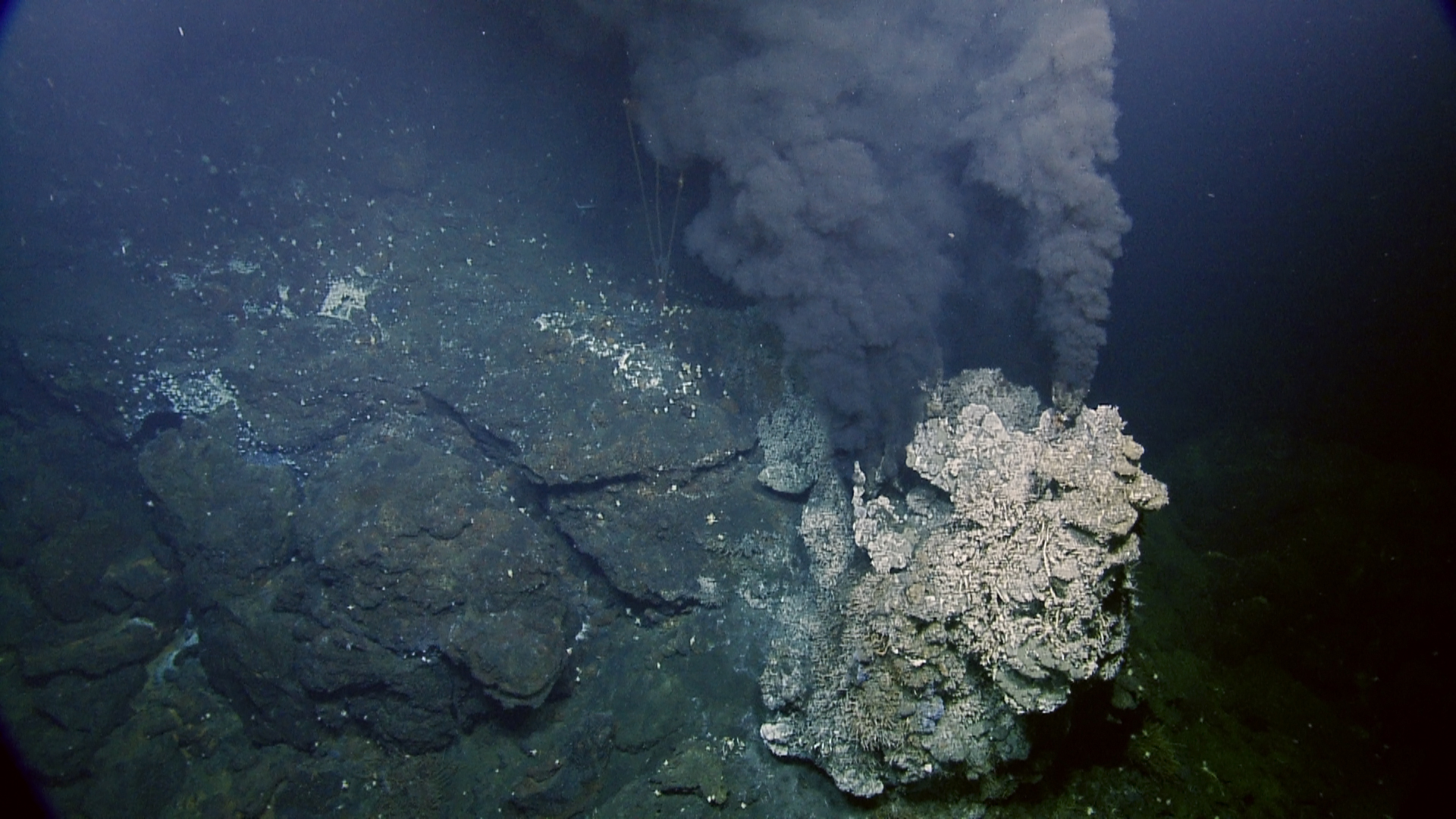 ID: grey smoke clouds rise from ocean floor