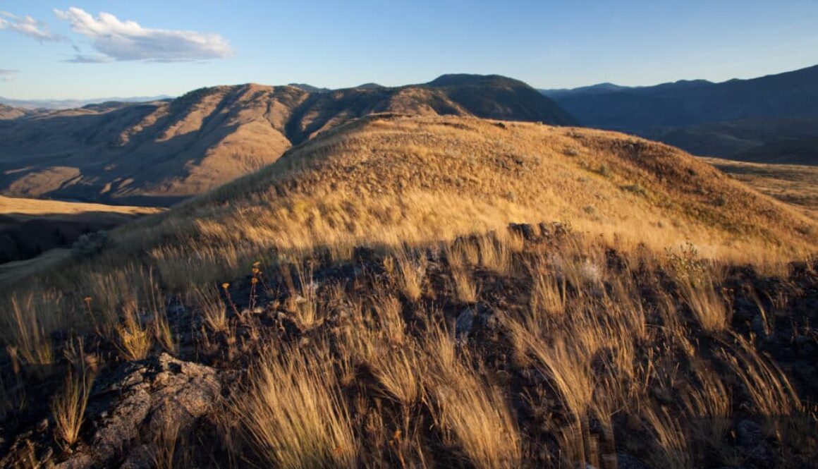 ID: golden grasslands roll below blue sunny skies