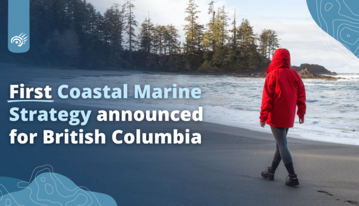 BC-July2024-CMSAnnounced