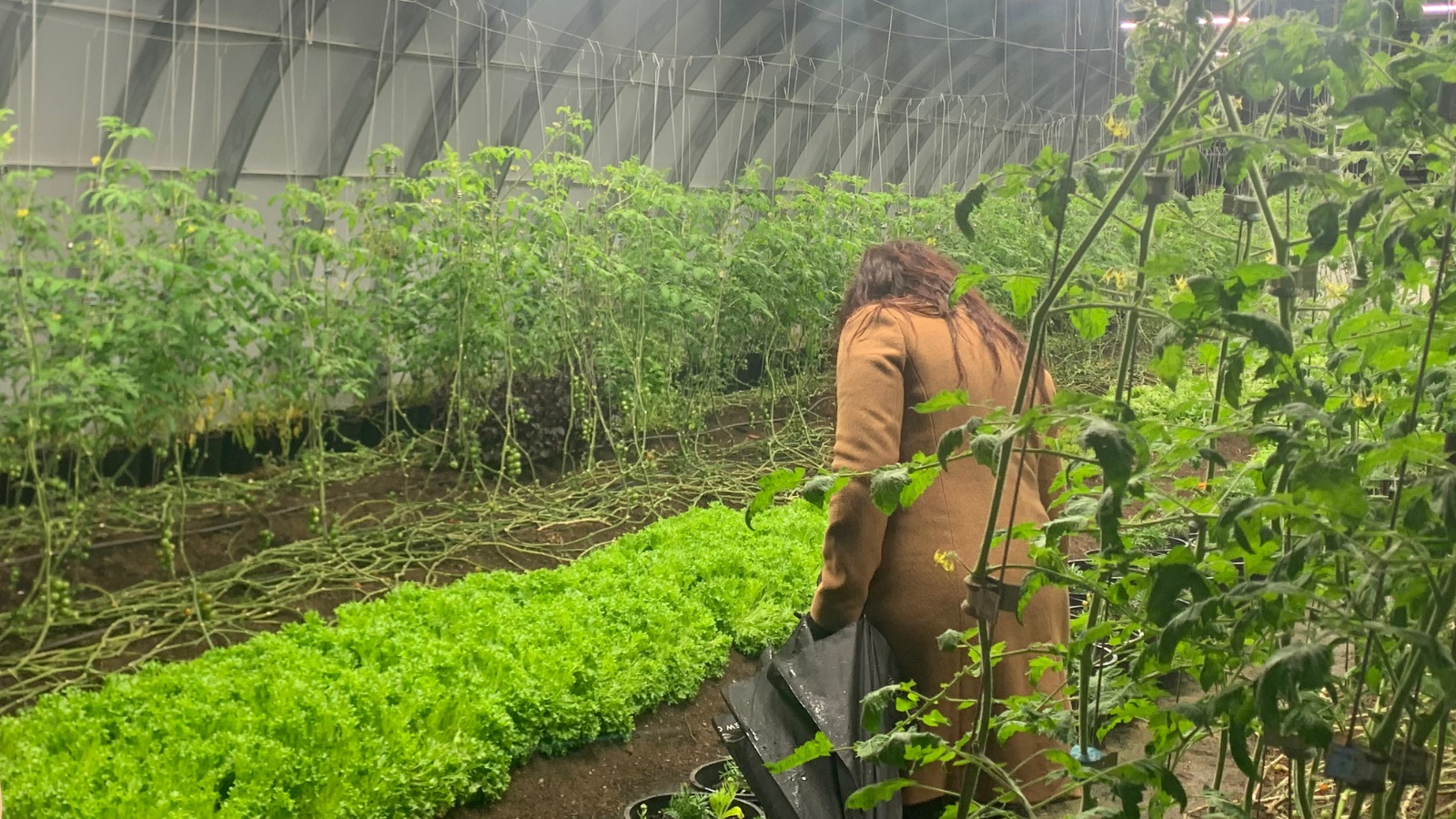 Exploring the property green houses at Brew Creek Centre where the food we enjoyed over the weekend was grown. Photo by Eden Luymes Exploring the property green houses at Brew Creek Centre where the food we enjoyed over the weekend was grown. Photo by Eden Luymes