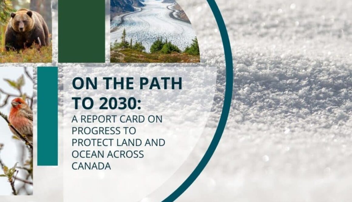 ON THE PATH TO 2030 A Report Card on Progress to Protect Land and Ocean Across Canada(2)
